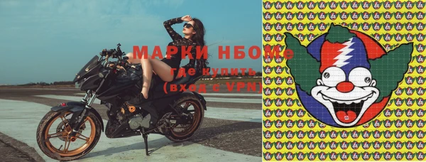 spice Аркадак