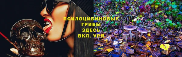мяу мяу кристалл Арсеньев